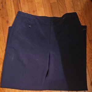 Christopher & Banks Dark Blue Men's Shorts